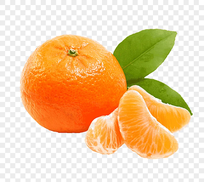 png clipart orange fruit juice tangerine mandarin orange grapefruit clementine tangerine n