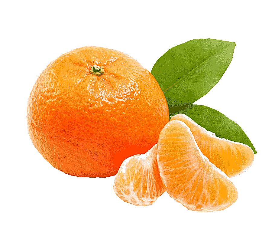 png clipart orange fruit juice tangerine mandarin orange grapefruit clementine tangerine n