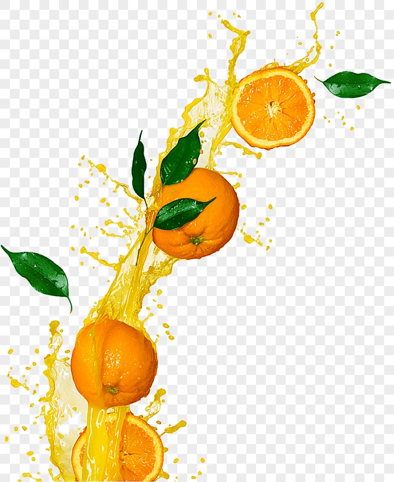 png clipart orange juice tangerine orange drink clementine creative splashing oranges colo