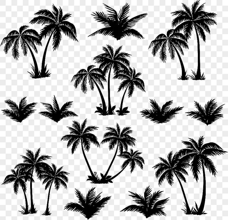 png clipart palm tree silhouettes