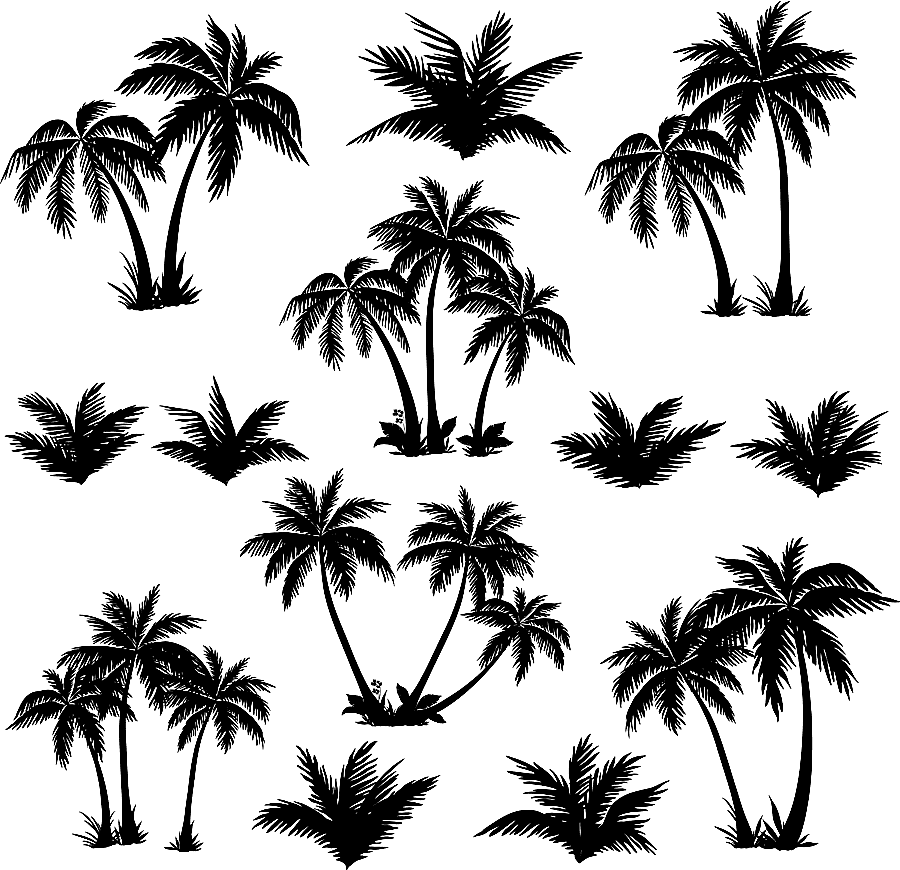png clipart palm tree silhouettes