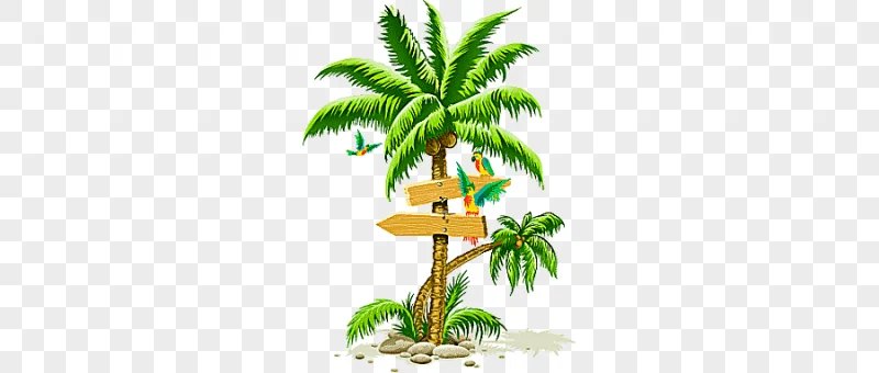 png clipart palm tree trees plant