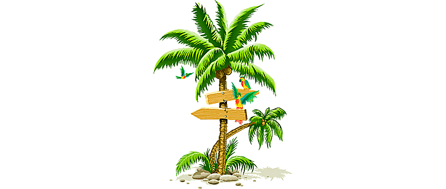png clipart palm tree trees plant