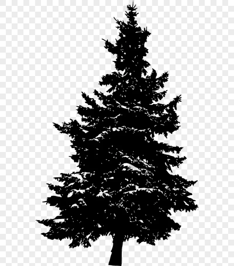 png clipart pine silhouette fir tree pine tree animals leaf