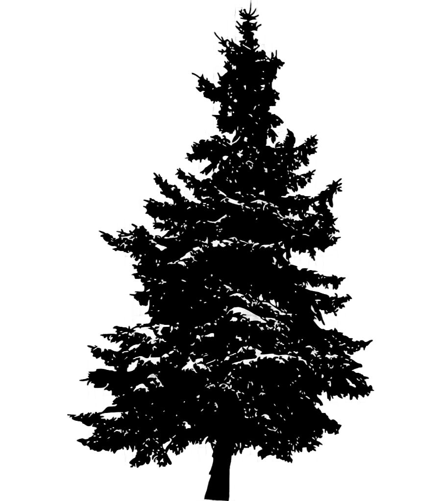 png clipart pine silhouette fir tree pine tree animals leaf
