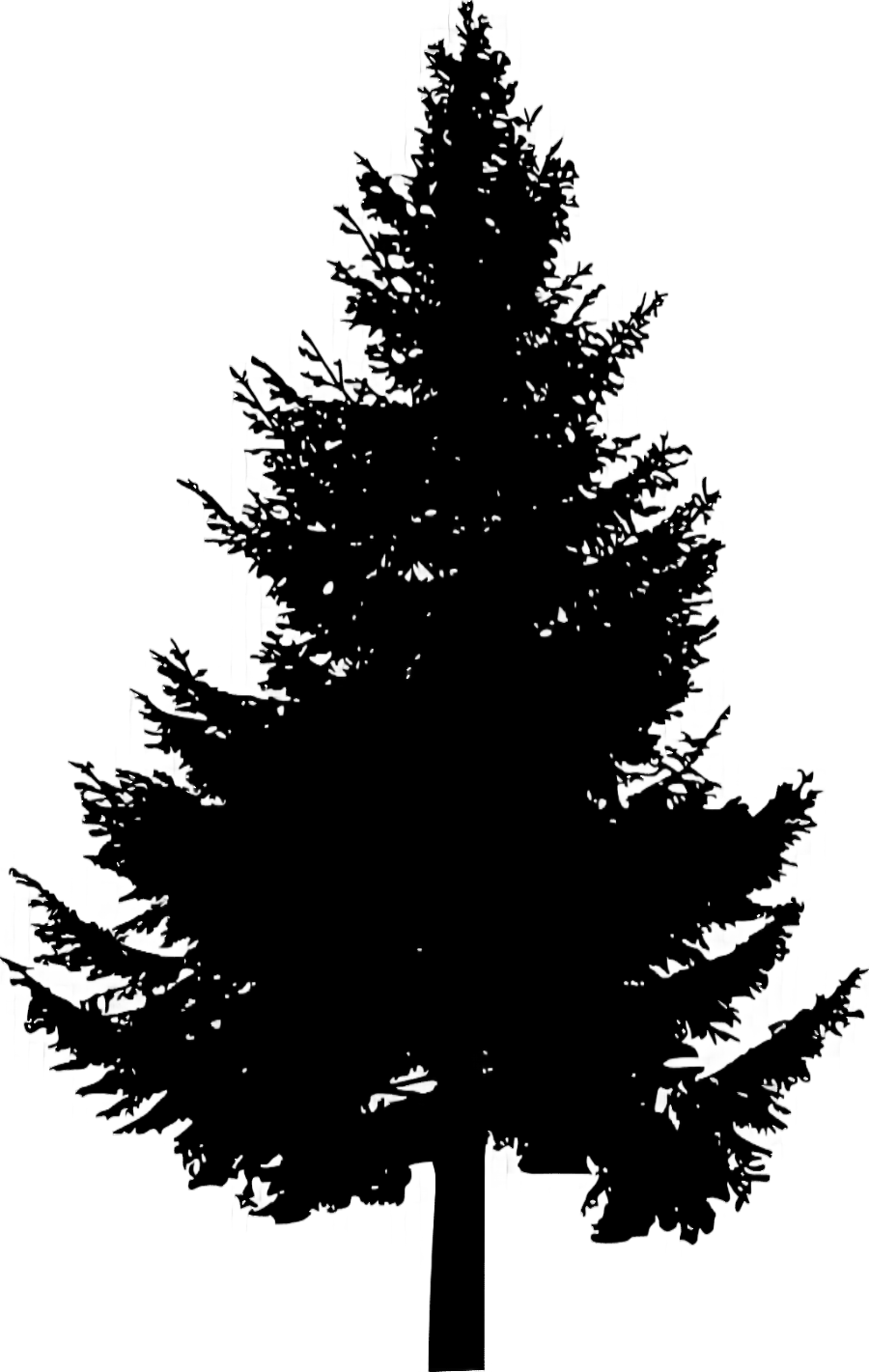 png clipart pine tree silhouette pine tree leaf branch