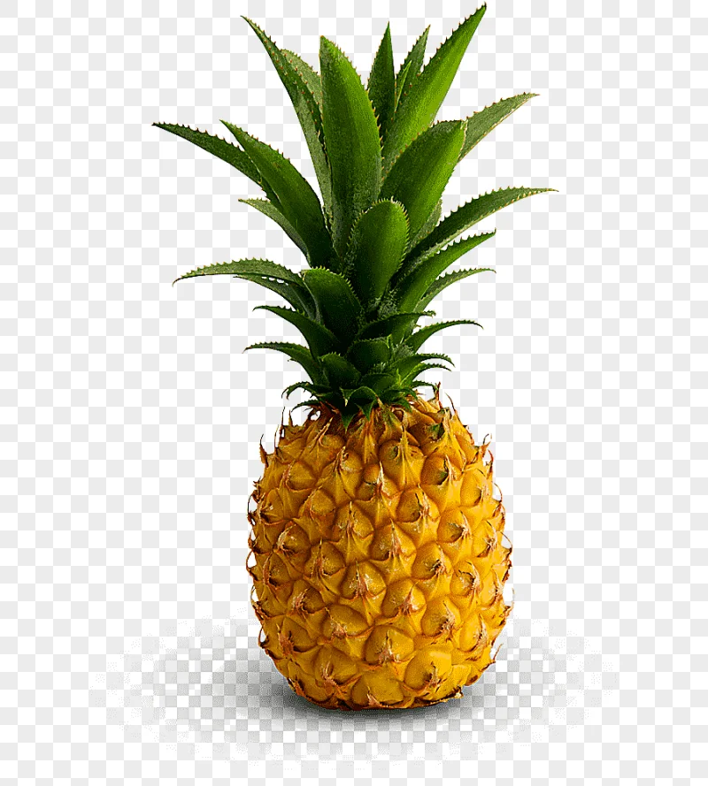 png clipart pineapple juice fruit slice food pineapple food tropical fruit