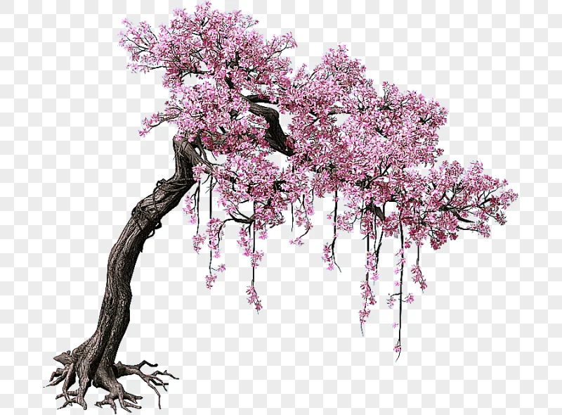 png clipart pink cherry blossom tree peach tree color game scene trees purple tree branch