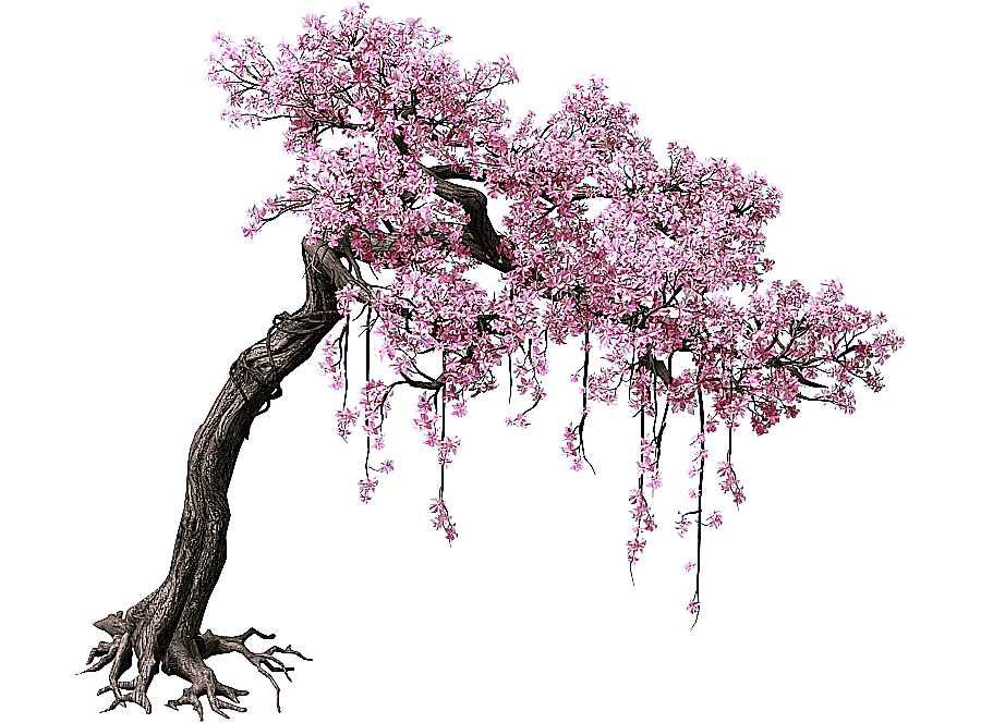png clipart pink cherry blossom tree peach tree color game scene trees purple tree branch