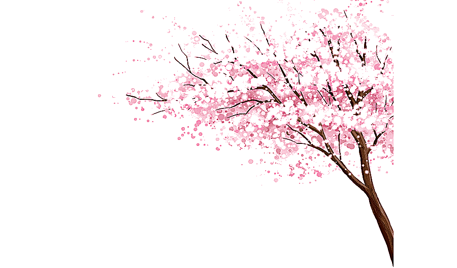 png clipart pink cherry tree pink cherry blossoms