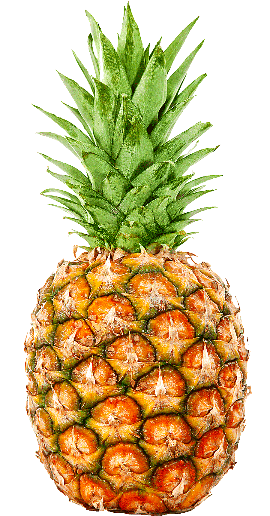 png clipart ripe pineapple juice pineapple cutter gelatin dessert fruit pineapple natural