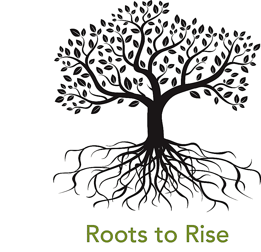 png clipart root tree drawing family tree leaf text