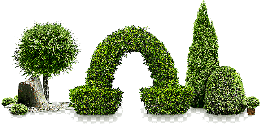 png clipart shrub garden tree plant pine tree service grass