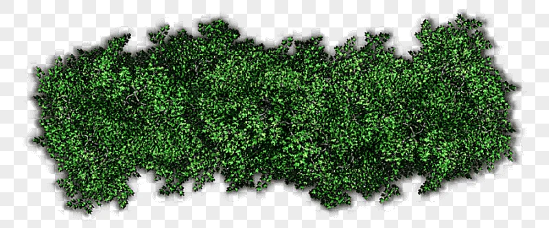 png clipart shrub tree hedge tree grass sticker