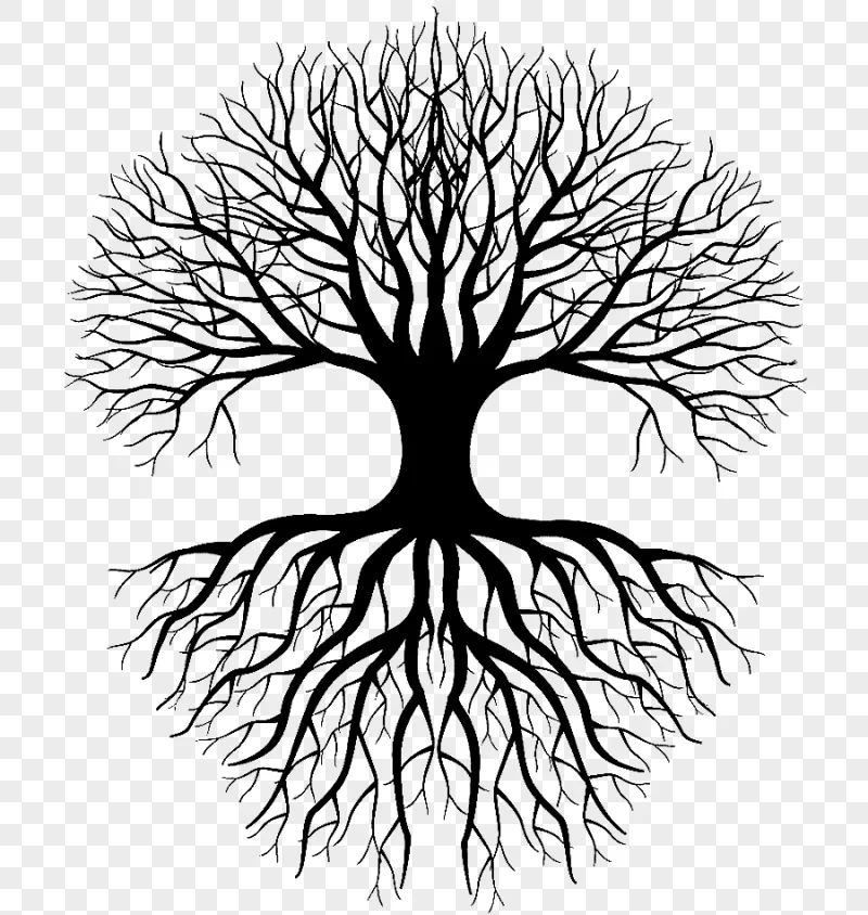 png clipart silhouette of tree illustration coloring book drawing root tree tree silhouett