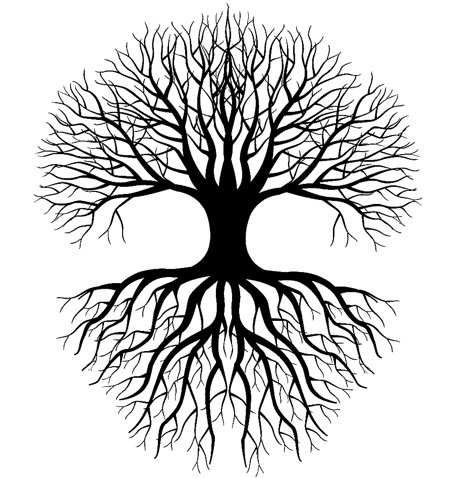 png clipart silhouette of tree illustration coloring book drawing root tree tree silhouett