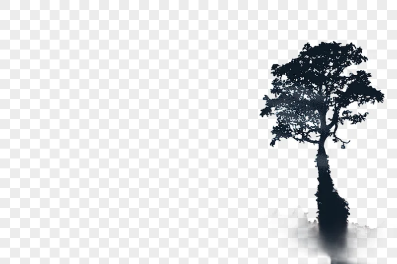 png clipart silhouette of trees euclidean forest landscape tree light the far mountains wi