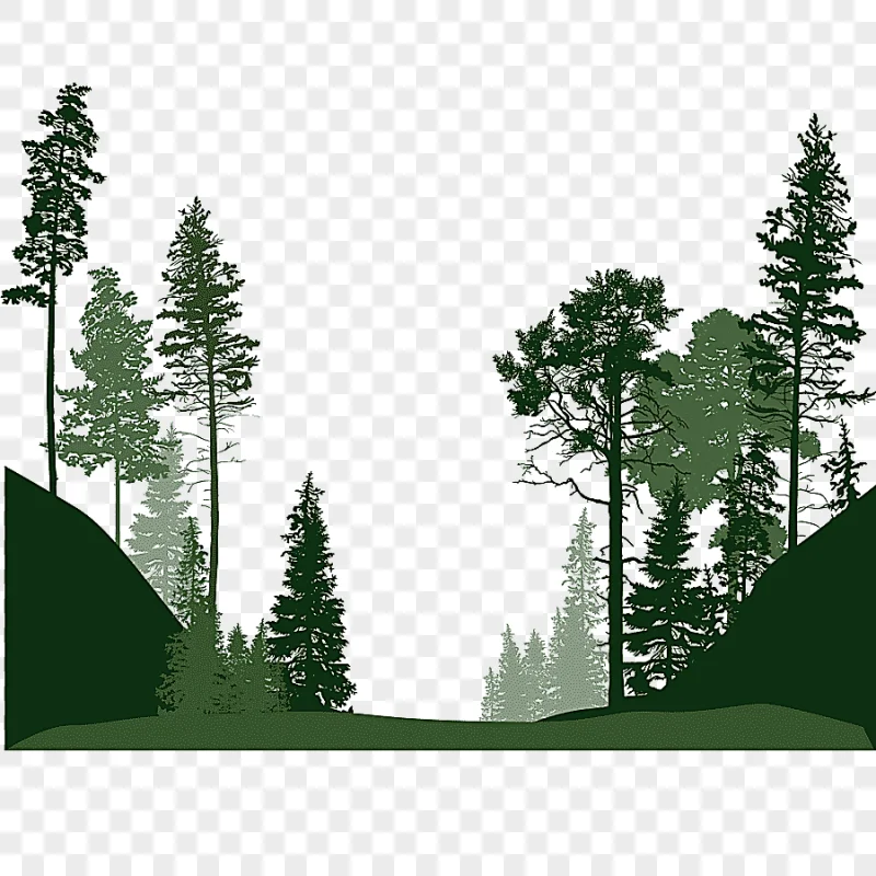 png clipart silhouette of trees illustration forest euclidean tree forest trees leaf tree
