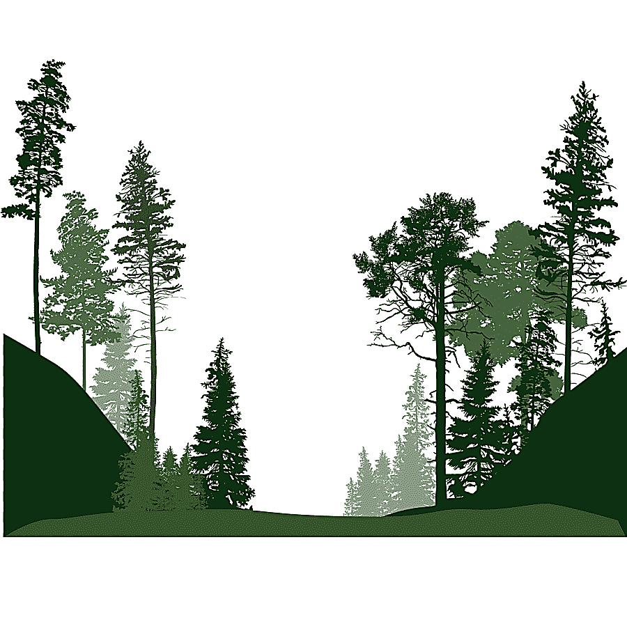 png clipart silhouette of trees illustration forest euclidean tree forest trees leaf tree