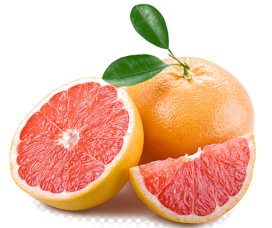png clipart sliced orange fruit grapefruit juice grapefruit juice fresca sea breeze citrus