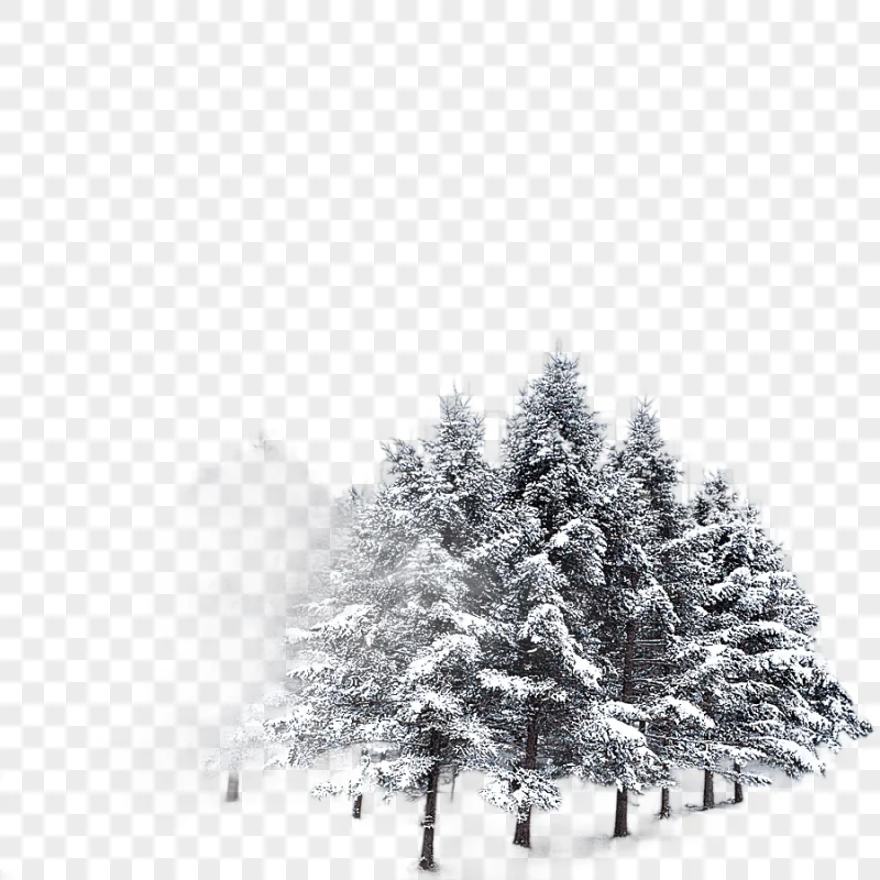png clipart snow covered trees snow covered trees other winter