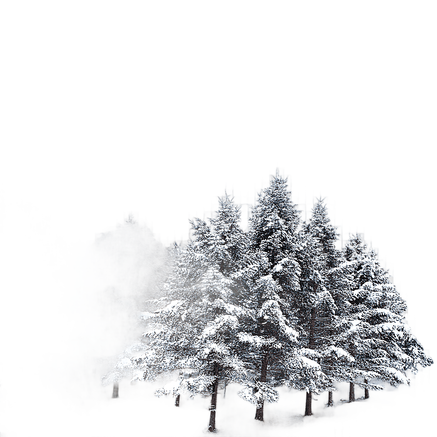 png clipart snow covered trees snow covered trees other winter