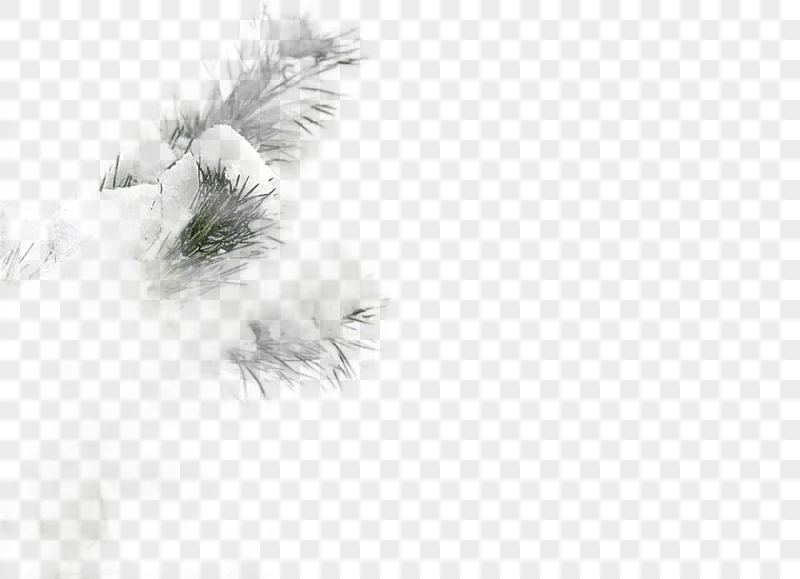 png clipart snow winter tree snowy winter tree snow branches