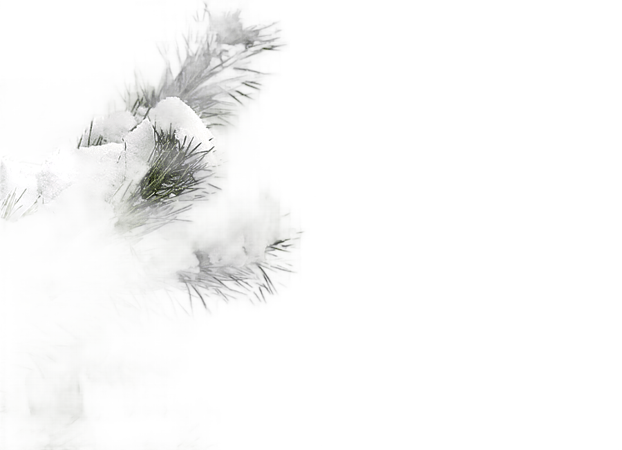 png clipart snow winter tree snowy winter tree snow branches