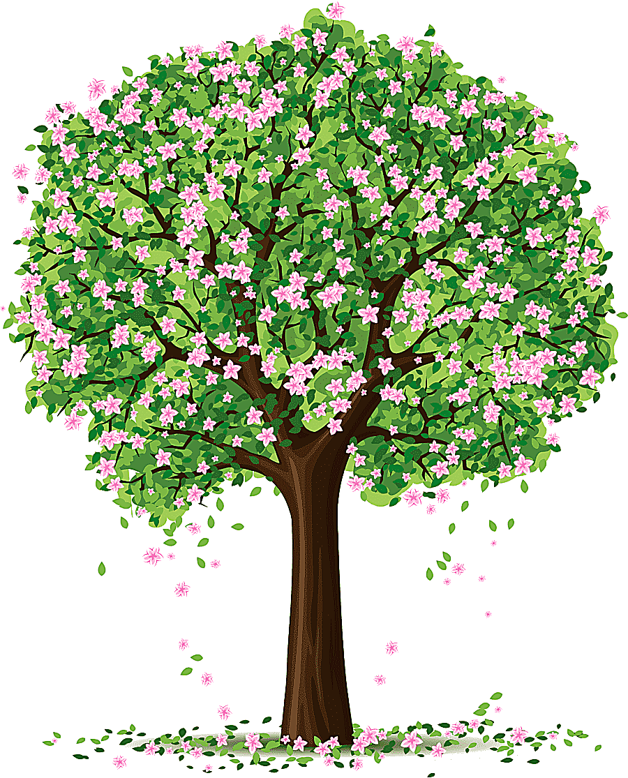 png clipart spring tree spring tree art green leafed tree illustration branch flower