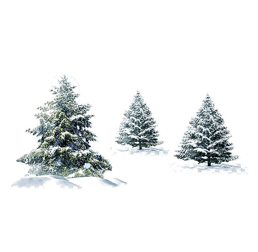 png clipart three green pine trees covered in snow illustration christmas tree gift snow p