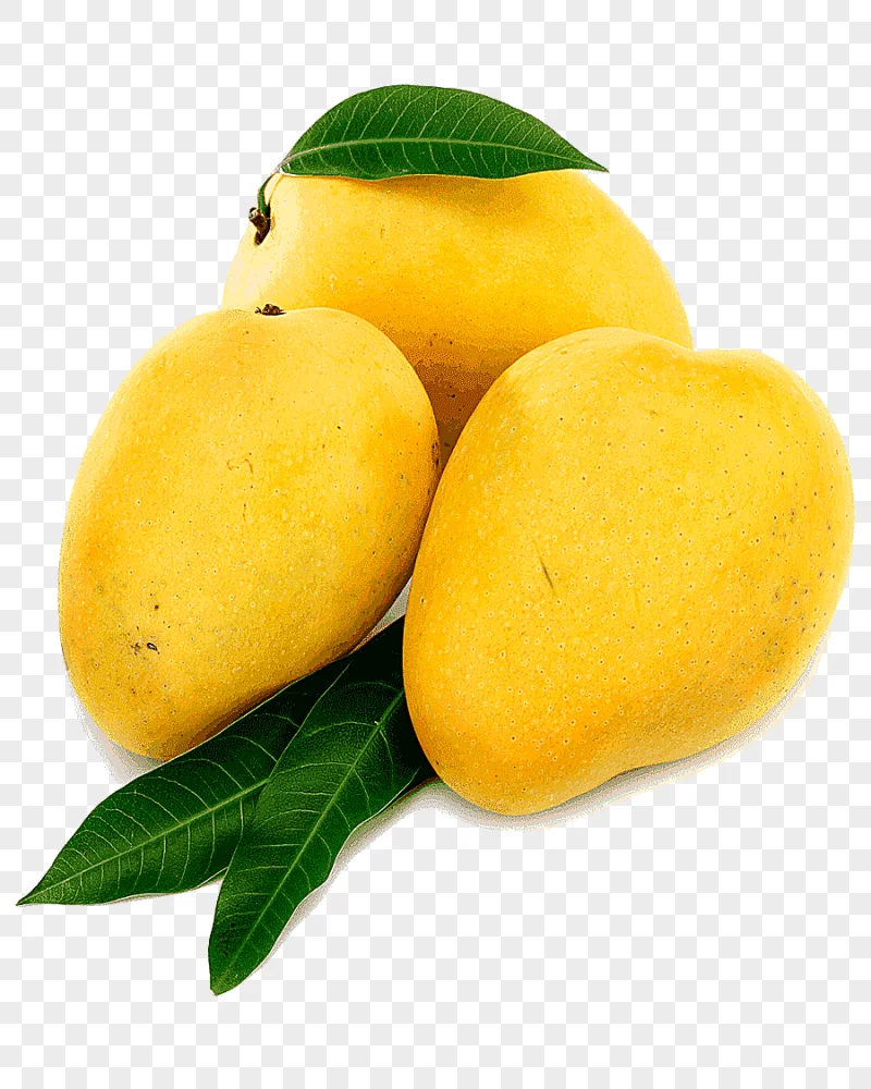 png clipart three ripe mangoes india juice nectar mango alphonso mango natural foods food