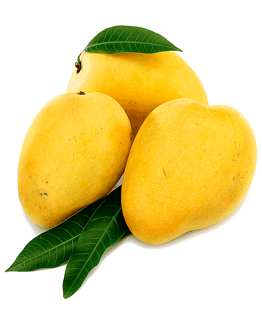 png clipart three ripe mangoes india juice nectar mango alphonso mango natural foods food