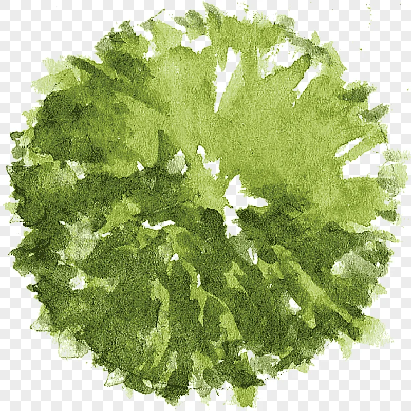 png clipart tree architectural plan landscape architecture tree plan round green watercolo