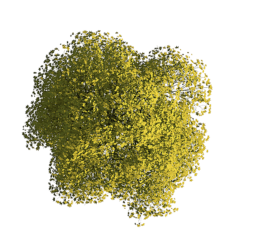 png clipart tree architecture drawing autocad floor plan tree top view green leafed plant