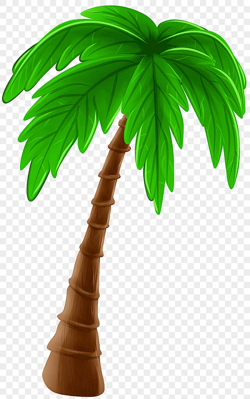 png clipart tree arecaceae cartoon coconut tree leaf palm tree