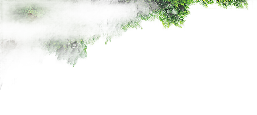 png clipart tree background tree background forest