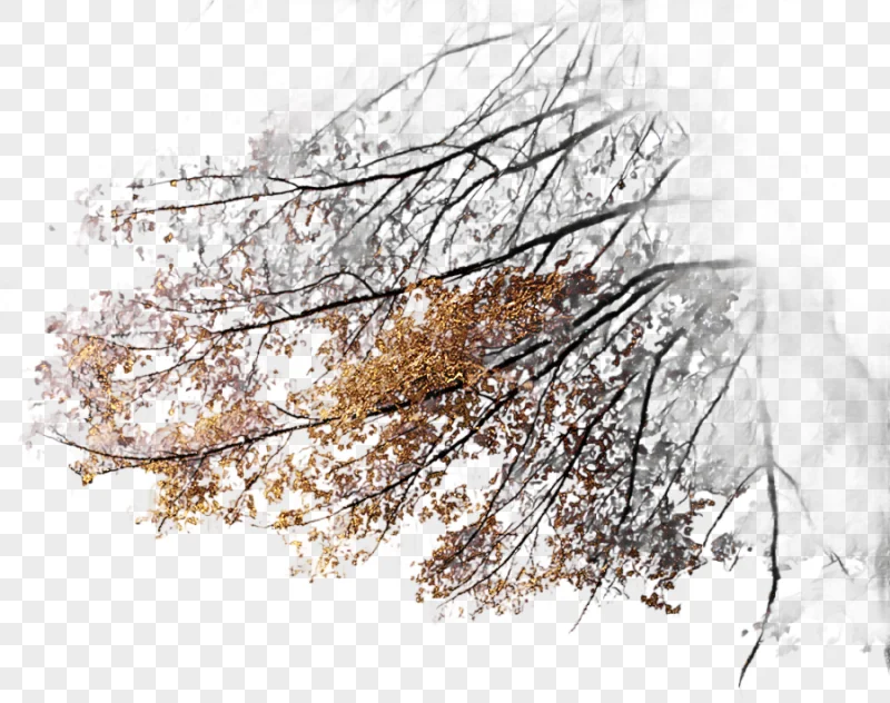 png clipart tree branches corner trees