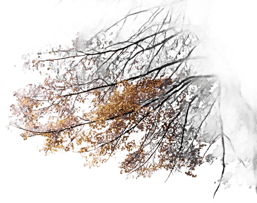 png clipart tree branches corner trees