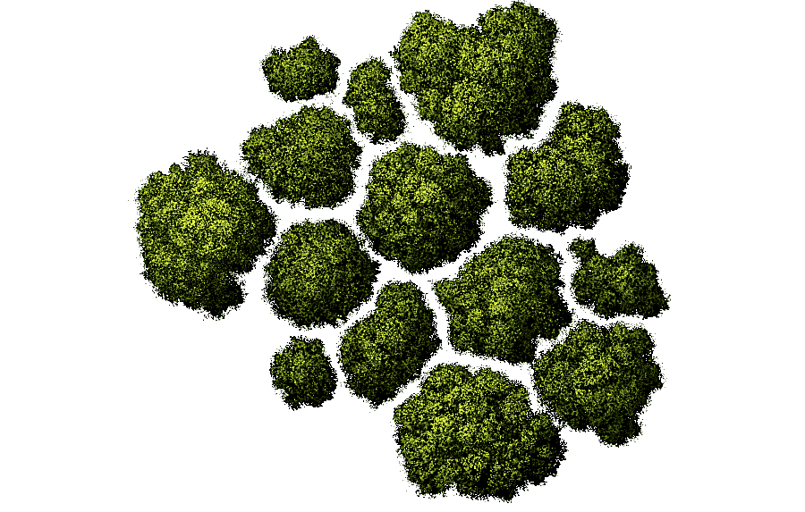 png clipart tree computer icons architecture tree top tree grass ornament illustration mis