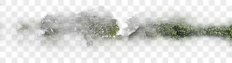 png clipart tree for background trees under blue sky