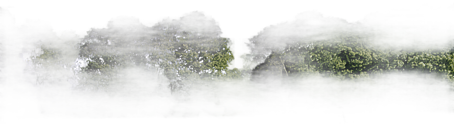 png clipart tree for background trees under blue sky