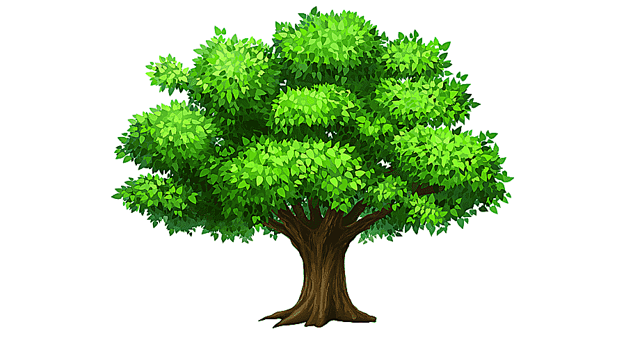 png clipart tree free content summer tree s branch presentation