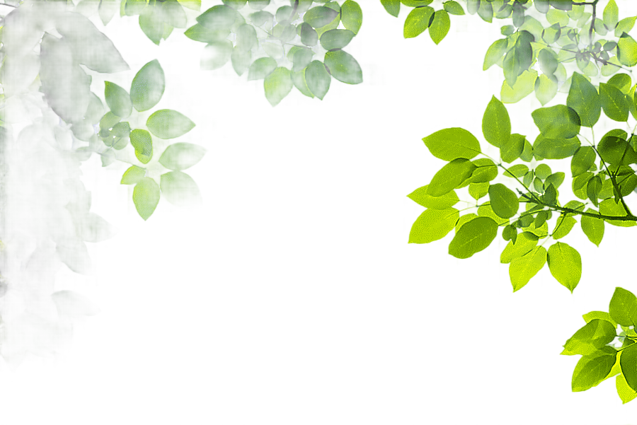 png clipart tree man frame leaf