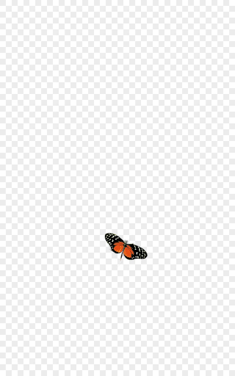 png clipart tree nature landscape painting leaf forest trees orange and black butterly lan