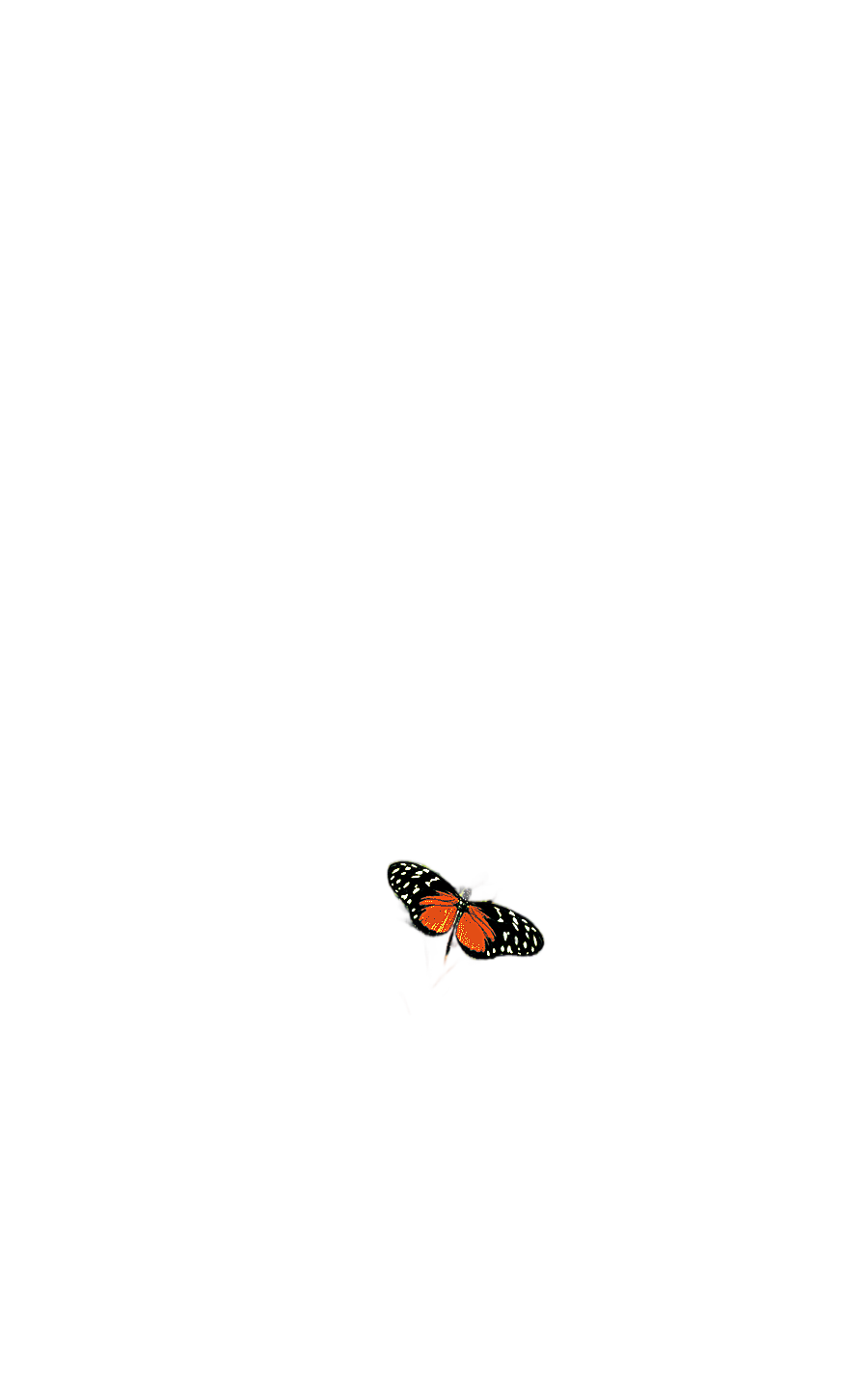 png clipart tree nature landscape painting leaf forest trees orange and black butterly lan