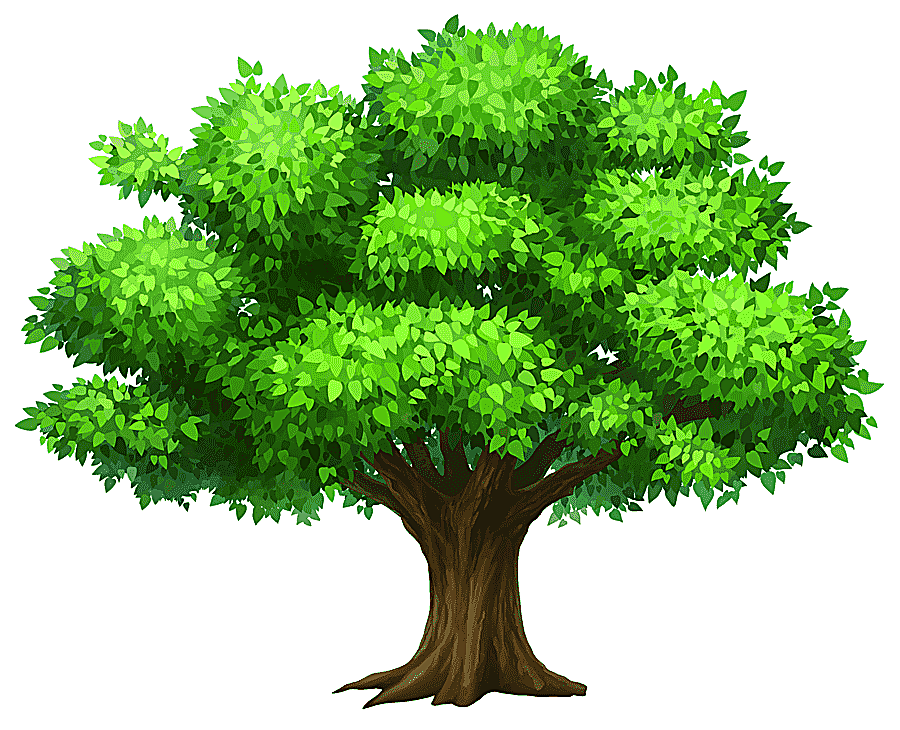 png clipart tree oak oack tree green tree leaf grass