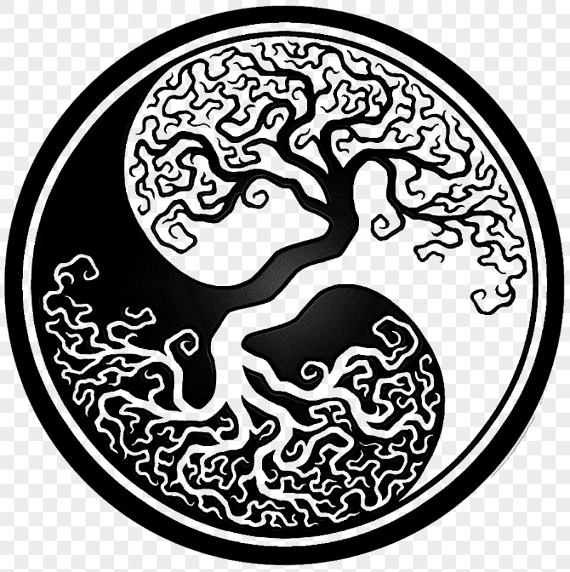 png clipart tree of life symbol celtic sacred trees zazzle tree label branch