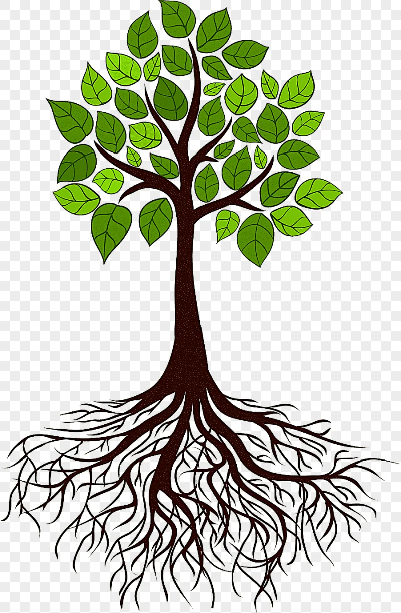png clipart tree root branch tree roots leaf root