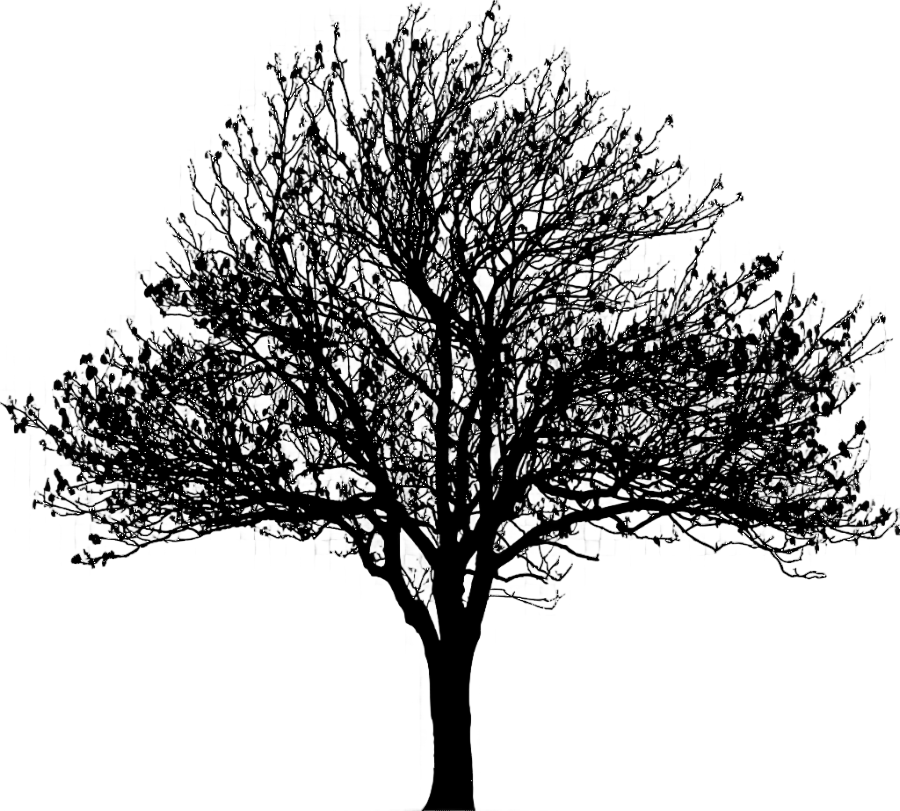 png clipart tree silhouette drawing love tree winter leaf