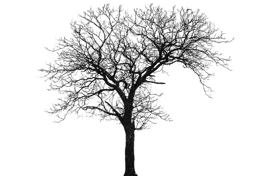 png clipart tree silhouette house architecture tree winter branch